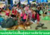 กรมปศุสัตว์ระดมเจ้าหน้าที่ปศุสัตว์เร่งฟื้นฟูสุขภาพสัตว์ในพื้นที่ชายแดน