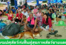 กรมปศุสัตว์ระดมเจ้าหน้าที่ปศุสัตว์เร่งฟื้นฟูสุขภาพสัตว์ในพื้นที่ชายแดน