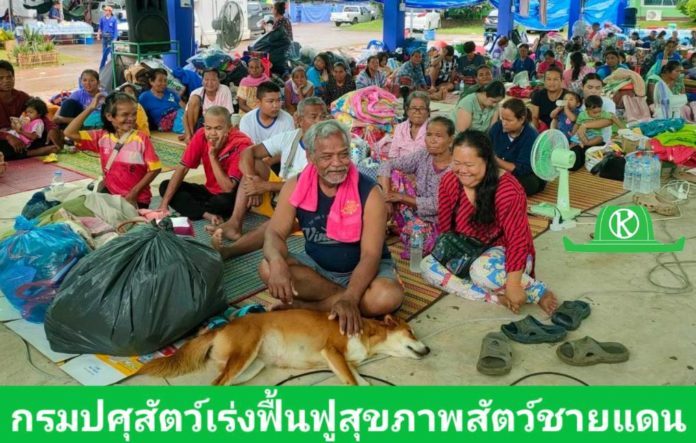 กรมปศุสัตว์ระดมเจ้าหน้าที่ปศุสัตว์เร่งฟื้นฟูสุขภาพสัตว์ในพื้นที่ชายแดน