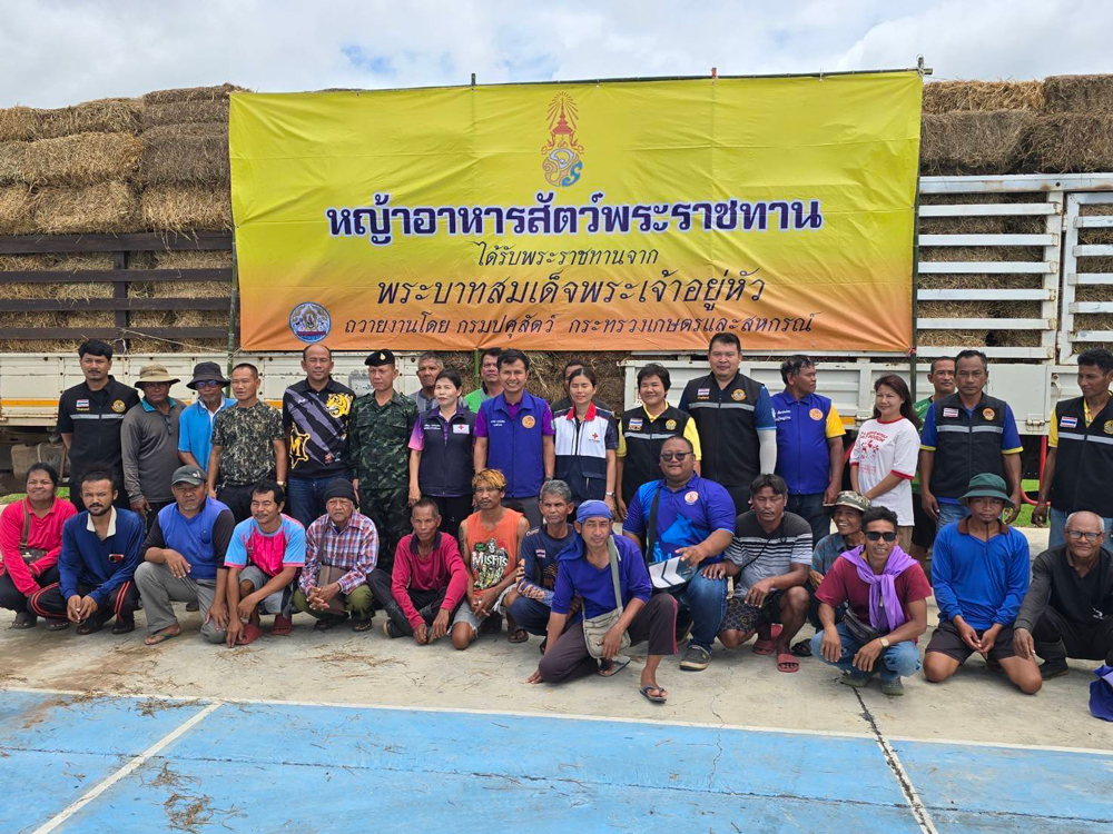 กรมปศุสัตว์ระดมเจ้าหน้าที่ปศุสัตว์เร่งฟื้นฟูสุขภาพสัตว์ในพื้นที่ชายแดน