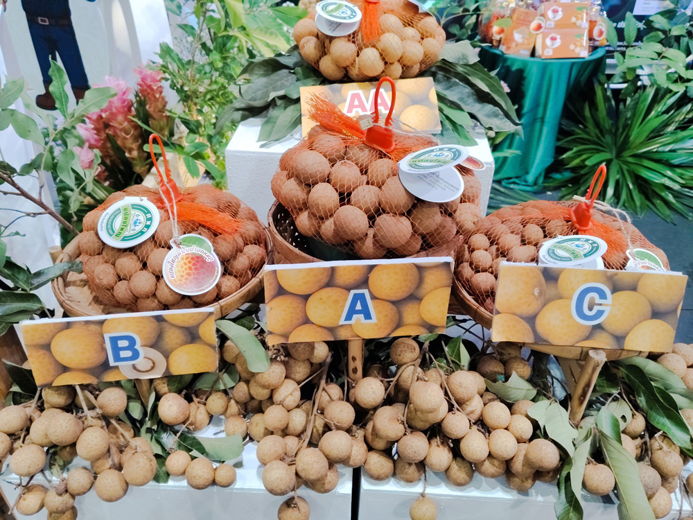 ปลุกพลัง เดินหน้าลำไยคุณภาพ เกษตรฯ จัดรวมพลคนปลูกลำไย ดันยุทธศาสตร์ใหม่ แก้ปัญหาช่วยไร่ละ 1,400