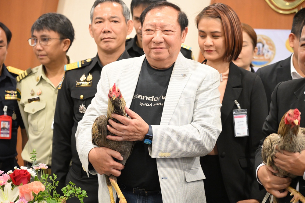 ส่งออกไก่พื้นเมืองมีชีวิตล็อตแรกไปอินโดนีเซีย เปิดประตูการค้าให้แก่สินค้าเกษตรมูลค่าสูงของไทยหลังมีแนวโน้ม ไก่สายพันธุ์พื้นเมือง ไทยได้รับความนิยมด้านกีฬาและวัฒนธรรม