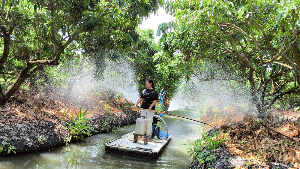 กรมพัฒนาที่ดิน เผยผลสำเร็จ “น้ำหมักชีวภาพสูตรปลาหมอคางดำ” ทำเกษตรกรยิ้ม ผลผลิตพุ่ง ลดต้นทุน เพิ่มรายได้
