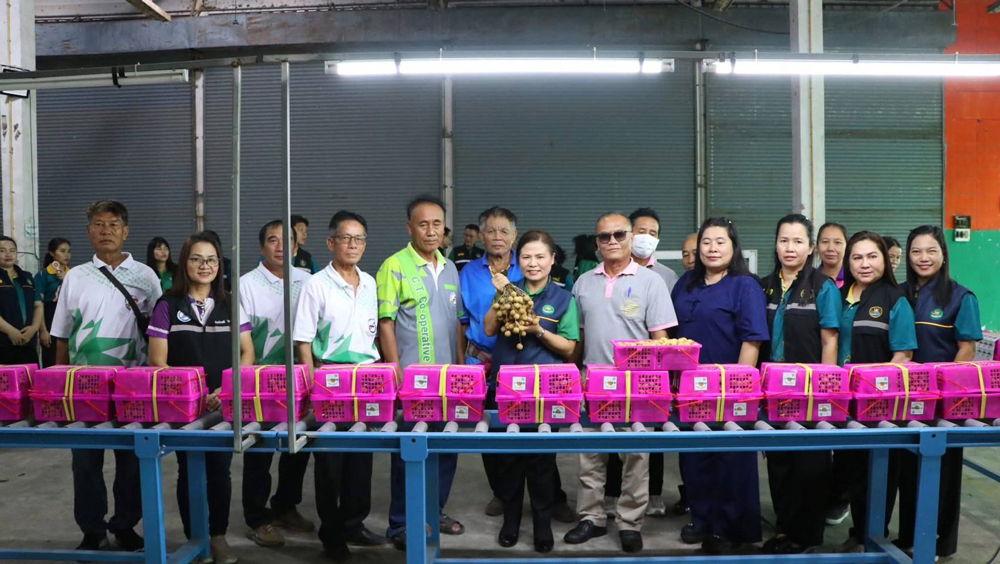 กรมส่งเสริมสหกรณ์ วางมาตรการรับมือผลผลิตผลไม้ปี 2568 พร้อมสนับสนุนรวบรวมและกระจายผลผลิต ผ่านสหกรณ์ เพิ่มช่องทางการตลาดทั้งในและต่างประเทศ ขับเคลื่อนเศรษฐกิจฐานรากอย่างยั่งยืน