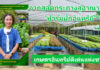 กรมวิชาการเกษตร ปลื้ม เกษตรกรอินทรีย์ดีเด่นแห่งชาติ พลิกชีวิตจากสลัดกระถางสู่อาณาจักร “ฟาร์มผักอินทรีย์”