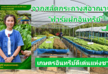 กรมวิชาการเกษตร ปลื้ม เกษตรกรอินทรีย์ดีเด่นแห่งชาติ พลิกชีวิตจากสลัดกระถางสู่อาณาจักร “ฟาร์มผักอินทรีย์”
