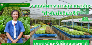 กรมวิชาการเกษตร ปลื้ม เกษตรกรอินทรีย์ดีเด่นแห่งชาติ พลิกชีวิตจากสลัดกระถางสู่อาณาจักร “ฟาร์มผักอินทรีย์”