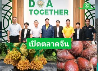 ลุ้นเปิดตลาดจีน “อินทผลัม” และ “สละ” GACC ลงพื้นที่ตรวจประเมินสวน โรงคัดบรรจุ