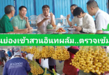 จีนย่องเข้าสวนอินทผลัมกาญจนบุรี ตรวจเข้มสารเคมี เพื่อหาแนวทางขยายตลาดไปจีน
