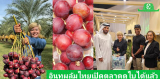 อินทผลัมของดีบ่อพลอยสร้างความประทับใจที่ดูไบ