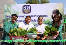 ธ.ก.ส. เปิดตัวโครงการโรงเรียนเกษตรธนากร มุ่งสร้างเกษตรการค้า เพิ่มเยาวชนเข้าภาคการเกษตร ทดแทนเกษตรสูงอายุ นำ ร่อง 18 โรงเรียนทั่วประเทศ