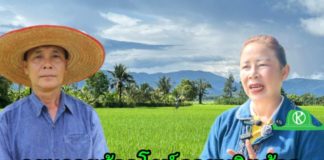 กรมการข้าวโชว์ “เทคโนโลยีอัจฉริยะ” การผลิตเมล็ดพันธุ์ข้าวคุณภาพปี 2568 ที่เชียงราย https://www.kasetkaoklai.com/home/2025/08/กรมการข้าวโชว์-เทคโนโล/