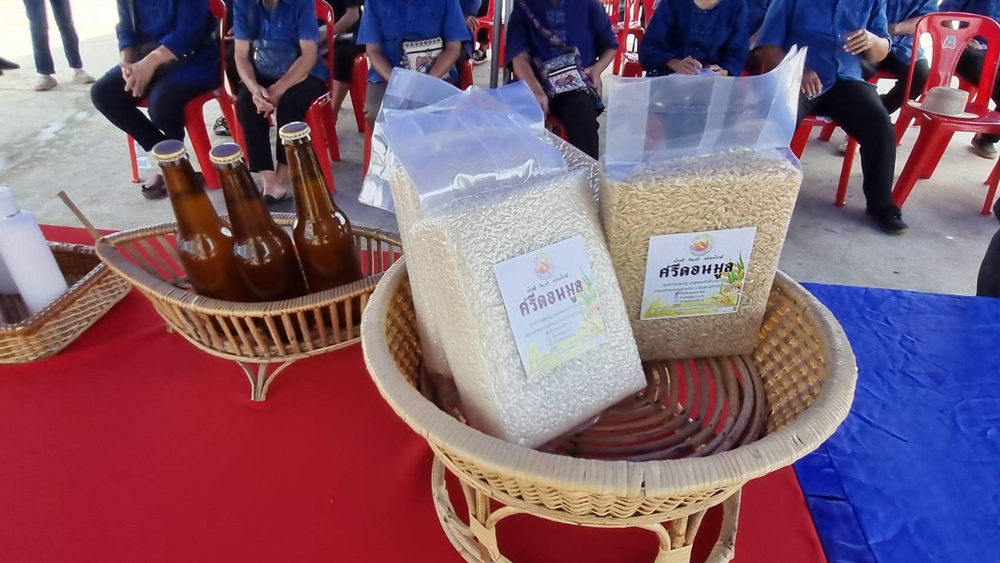 กรมการข้าวโชว์ "เทคโนโลยีอัจฉริยะ" ดึงสื่อลงพื้นที่ดูงานส่งเสริมการผลิตข้าวปี 68