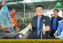 กรมประมงเผยข่าวดี! กุ้งก้ามกรามราคาพุ่ง! พร้อมดัน “มาโคร 1” ช่วยเกษตรกรสร้างรายได้
