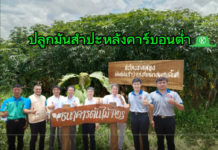 PQS จับมือ กับ KDX และบริษัทแม่ Sojitz จากญี่ปุ่น ปั้น ‘แป้งมันสำปะหลังคาร์บอนต่ำ’ พร้อมระบบตรวจสอบย้อนกลับอย่างเต็มรูปแบบ รุกตลาดโลก
