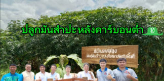 PQS จับมือ กับ KDX และบริษัทแม่ Sojitz จากญี่ปุ่น ปั้น ‘แป้งมันสำปะหลังคาร์บอนต่ำ’ พร้อมระบบตรวจสอบย้อนกลับอย่างเต็มรูปแบบ รุกตลาดโลก