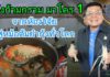 กุ้งก้ามกราม มาโคร 1: ความลับของต้มยำกุ้งระดับโลก