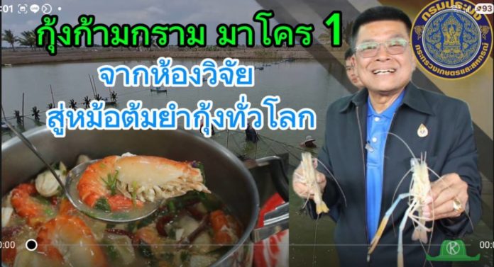 กุ้งก้ามกราม มาโคร 1: ความลับของต้มยำกุ้งระดับโลก