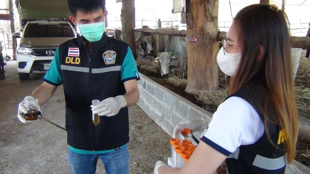 “อธิบดีกรมปศุสัตว์“ลั่น จุดยืนห้ามใช้สารเร่งเนื้อแดงทุกขั้นตอนผลิต หลังมีกระแสเปิดทางนำเข้าหมูสหรัฐฯ ย้ำ เป็นอันตรายต่อผู้บริโภค ยังเชื่อ รบ.จะคำนึงถึงสุขภาพของคนไทยเป็นหลัก