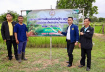 กรมการข้าว จัดเพรสทัวร์พาตะลุยเมืองอุบลฯ ปั้น "ข้าวยั่งยืนบ้านดอนหมู"