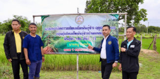 กรมการข้าว จัดเพรสทัวร์พาตะลุยเมืองอุบลฯ ปั้น "ข้าวยั่งยืนบ้านดอนหมู"