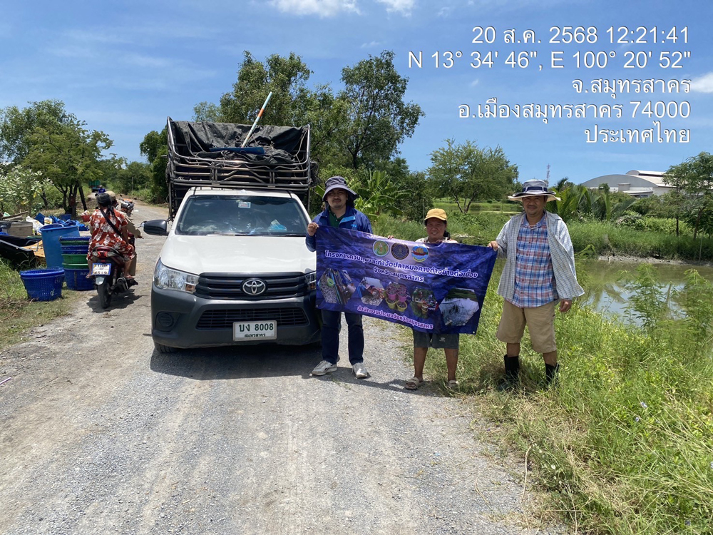 จ.สมุทรสาครเร่งควบคุมและกำจัดปลาหมอคางดำอย่างต่อเนื่อง ยอดทะลุ 38,838.30 กิโลกรัม