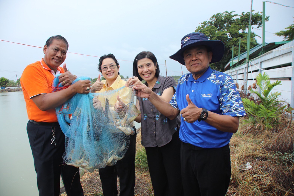 กรมประมงเผยข่าวดี! กุ้งก้ามกรามราคาพุ่ง! พร้อมดัน “มาโคร 1” ช่วยเกษตรกรสร้างรายได้