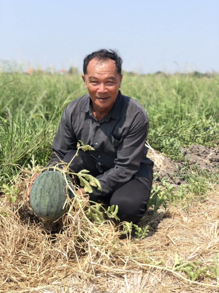 สำนักพัฒนาสังคมกรุงเทพมหานคร จับมือเมล็ดพันธุ์ตราตะวันต้นกล้า เดินหน้าส่งเสริมเกษตรกรหนองจอกปลูกพืชน้ำน้อยหลังนา สร้างรายได้ยั่งยืน และลดปัญหาฝุ่น PM2.5