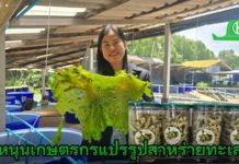 คุณกัญญารัตน์ สุนทรา ผู้อำนวยการศูนย์ศึกษาการพัฒนาอ่าวคุ้งกระเบนอันเนื่องมาจากพระราชดำริ จังหวัดจันทบุรี