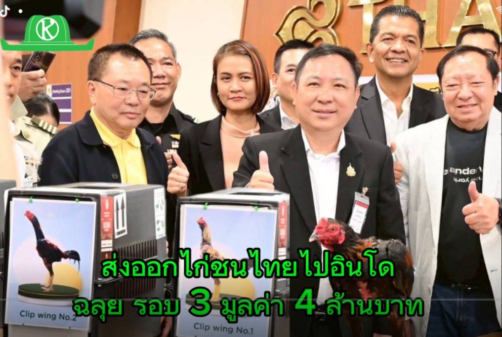 ส่งออกไก่พื้นเมืองไทย “Ayam Bangkok” ไปอินโด โตต่อเนื่อง มูลค่า 4 ล้านบาท