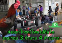 ส่งออกไก่พื้นเมืองไทย “Ayam Bangkok” ไปอินโด โตต่อเนื่อง มูลค่า 4 ล้านบาท