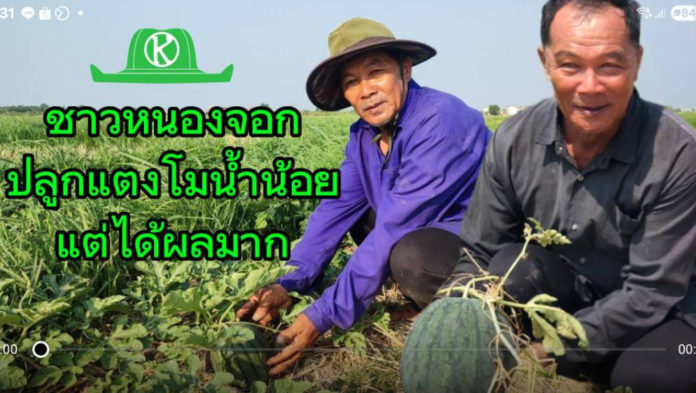 สำนักพัฒนาสังคมกรุงเทพมหานคร จับมือเมล็ดพันธุ์ตราตะวันต้นกล้า เดินหน้าส่งเสริมเกษตรกรหนองจอกปลูกพืชน้ำน้อยหลังนา สร้างรายได้ยั่งยืน และลดปัญหาฝุ่น PM2.5
