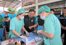 กรมปศุสัตว์เดินหน้าขับเคลื่อนโครงการเร่งรัดผ่าตัดทำหมันสุนัข–แมว คุมโรคพิษสุนัขบ้าในพื้นที่เสี่ยง จ.กำแพงเพชร ตามนโยบายของกระทรวงเกษตรและสหกรณ์ อย่างต่อเนื่อง เพื่อ "สัตว์ปลอดโรค คนปลอดภัย" ตั้งเป้าขยายผลขึ้นอีก 30%