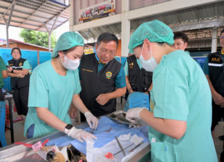กรมปศุสัตว์เดินหน้าขับเคลื่อนโครงการเร่งรัดผ่าตัดทำหมันสุนัข–แมว คุมโรคพิษสุนัขบ้าในพื้นที่เสี่ยง จ.กำแพงเพชร ตามนโยบายของกระทรวงเกษตรและสหกรณ์ อย่างต่อเนื่อง เพื่อ "สัตว์ปลอดโรค คนปลอดภัย" ตั้งเป้าขยายผลขึ้นอีก 30%