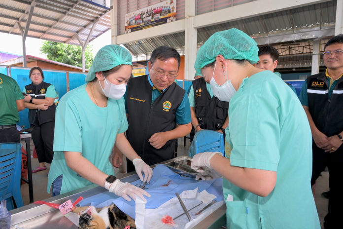 กรมปศุสัตว์เดินหน้าขับเคลื่อนโครงการเร่งรัดผ่าตัดทำหมันสุนัข–แมว คุมโรคพิษสุนัขบ้าในพื้นที่เสี่ยง จ.กำแพงเพชร ตามนโยบายของกระทรวงเกษตรและสหกรณ์ อย่างต่อเนื่อง เพื่อ 