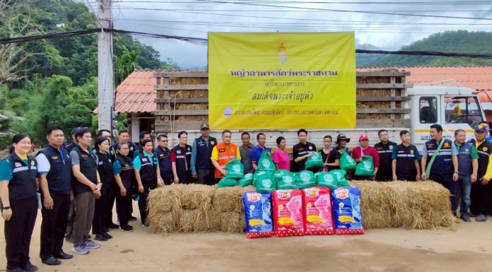 กรมปศุสัตว์เร่งช่วยเหลือผู้เลี้ยงสัตว์ที่ได้รับผลกระทบจากพายุ “คาจิกิ” อย่างเต็มที่