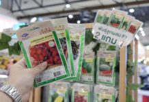 “เจียไต๋” ชวนสัมผัสนวัตกรรมการเกษตร ชิมช็อปผลผลิตสดใหม่ในงาน Farm Expo 2025”