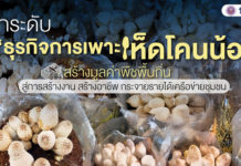 ยกระดับ “ธุรกิจการเพาะเห็ดโคนน้อย” สร้างมูลค่าพืชพื้นถิ่น สู่การสร้างงาน สร้างอาชีพ กระจายรายได้เครือข่ายชุมชน