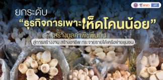 ยกระดับ “ธุรกิจการเพาะเห็ดโคนน้อย” สร้างมูลค่าพืชพื้นถิ่น สู่การสร้างงาน สร้างอาชีพ กระจายรายได้เครือข่ายชุมชน