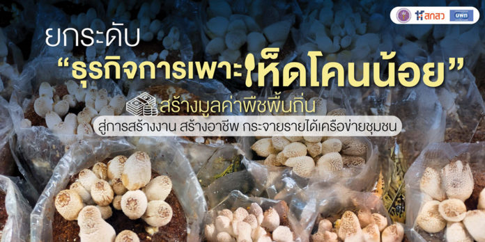 ยกระดับ “ธุรกิจการเพาะเห็ดโคนน้อย” สร้างมูลค่าพืชพื้นถิ่น สู่การสร้างงาน สร้างอาชีพ กระจายรายได้เครือข่ายชุมชน