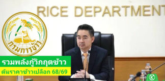 "กรมการข้าวประชุมด่วน! ผนึกกำลังสหกรณ์-โรงสี สร้างกลไกชะลอขาย มั่นใจยกระดับรายได้ชาวนาไทย ขับเคลื่อน 'มาตรการรักษาเสถียรภาพราคาข้าวเปลือก ปี 2568/69'