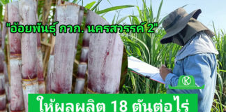 กรมวิชาการเกษตรเปิดตัวอ้อยโรงงานพันธุ์ใหม่ “กวก. นครสวรรค์ 2” ให้ผลผลิตสูง 18 ตัน/ไร่ กรมวิชาการเกษตรเปิดตัวอ้อยโรงงานพันธุ์ใหม่ “กวก. นครสวรรค์ 2” ให้ผลผลิตสูง 18 ตัน/ไร่