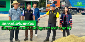กรมส่งเสริมสหกรณ์ ทำทันที ขานรับนโยบายรองนายกฯ ธรรมนัส ดันสหกรณ์การเกษตรเป็นจุดรวบรวมข้าว แก้ปัญหาราคาข้าวตกต่ำ