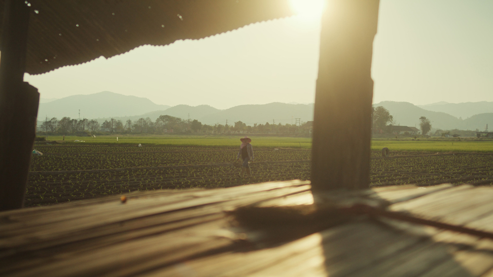 เนชั่นแนล จีโอกราฟฟิก จับมือ เป๊ปซี่โค เปิดตัวโครงการ “Food for Tomorrow” ขับเคลื่อนเกษตรกรรมเชิงฟื้นฟู