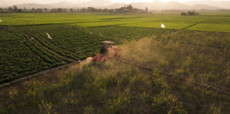 เนชั่นแนลจีโอกราฟฟิก จับมือเป๊ปซี่โค เปิดตัวโครงการ “Food for Tomorrow” ขับเคลื่อนเกษตรกรรมเชิงฟื้นฟู เนชั่นแนล จีโอกราฟฟิก จับมือ เป๊ปซี่โค เปิดตัวโครงการ “Food for Tomorrow” ขับเคลื่อนเกษตรกรรมเชิงฟื้นฟู