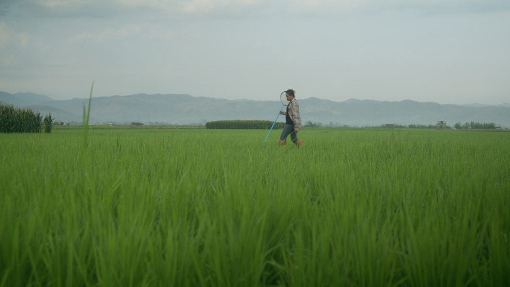 เนชั่นแนล จีโอกราฟฟิก จับมือ เป๊ปซี่โค เปิดตัวโครงการ “Food for Tomorrow” ขับเคลื่อนเกษตรกรรมเชิงฟื้นฟู