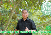 ห้ามพลาด! เปิดรับสมัคร YSF และ SF ปี 2569 ยกระดับเกษตรกรไทยสู่เกษตรสมัยใหม่ กรมส่งเสริมการเกษตร เปิดรับสมัคร “Young Smart Farmer” และ “Smart Farmer” ประจำปี 2569 ยกระดับเกษตรกรไทยสู่เกษตรสมัยใหม่ ตามนโยบายกระทรวงเกษตรและสหกรณ์