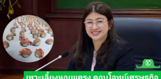 กรมประมง..สุดเจ๋ง ไขรหัสงานวิจัย ปลดล็อกเทคนิคการเพาะเลี้ยง “หอยแครง” สำเร็จ
