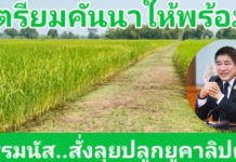 ร้อยเอก ธรรมนัส สั่งลุย! โครงการปลูกต้นยูคาลิปตัสบนคันนา สร้างรายได้เพิ่ม เสริมประสิทธิภาพการพัฒนาคุณภาพชีวิตเกษตรกร