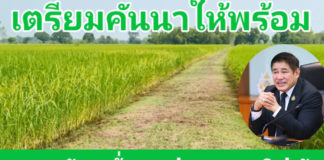 ร้อยเอก ธรรมนัส สั่งลุย! ส่งเสริมการปลูกต้นยูคาลิปตัสบนคันนา หวังสร้างรายได้เพิ่มเกษตรกร ร้อยเอก ธรรมนัส สั่งลุย! โครงการปลูกต้นยูคาลิปตัสบนคันนา สร้างรายได้เพิ่ม เสริมประสิทธิภาพการพัฒนาคุณภาพชีวิตเกษตรกร